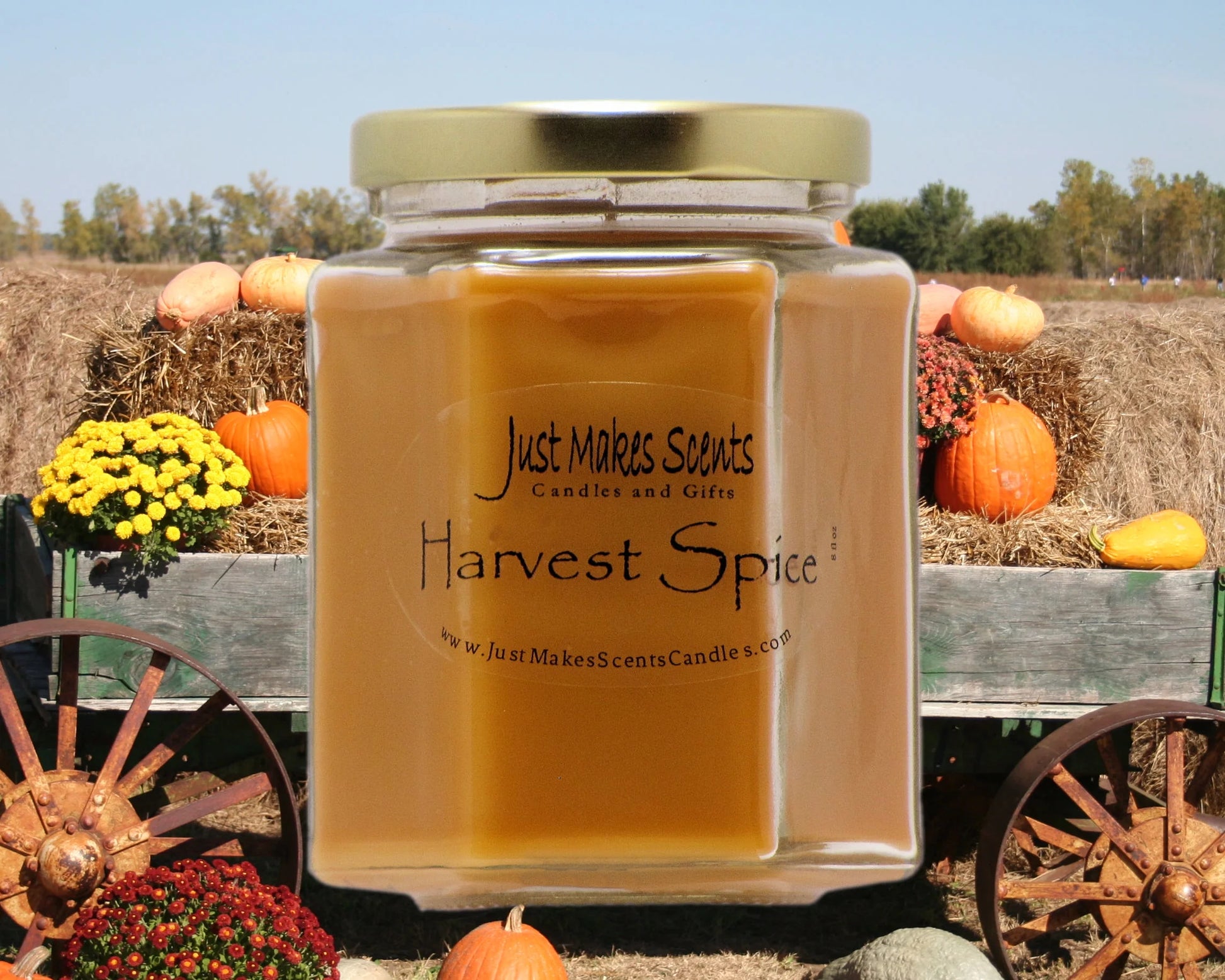 Autumn Bliss 3-Pack Soy Candle Set - Perfect Gifts for Fall!